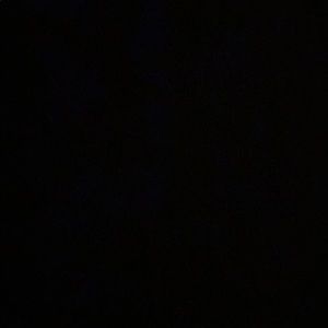 Meet your Posher, Preston